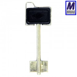 Cisa Sensor key blank