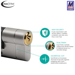 Asec Vitel Cylinder features
