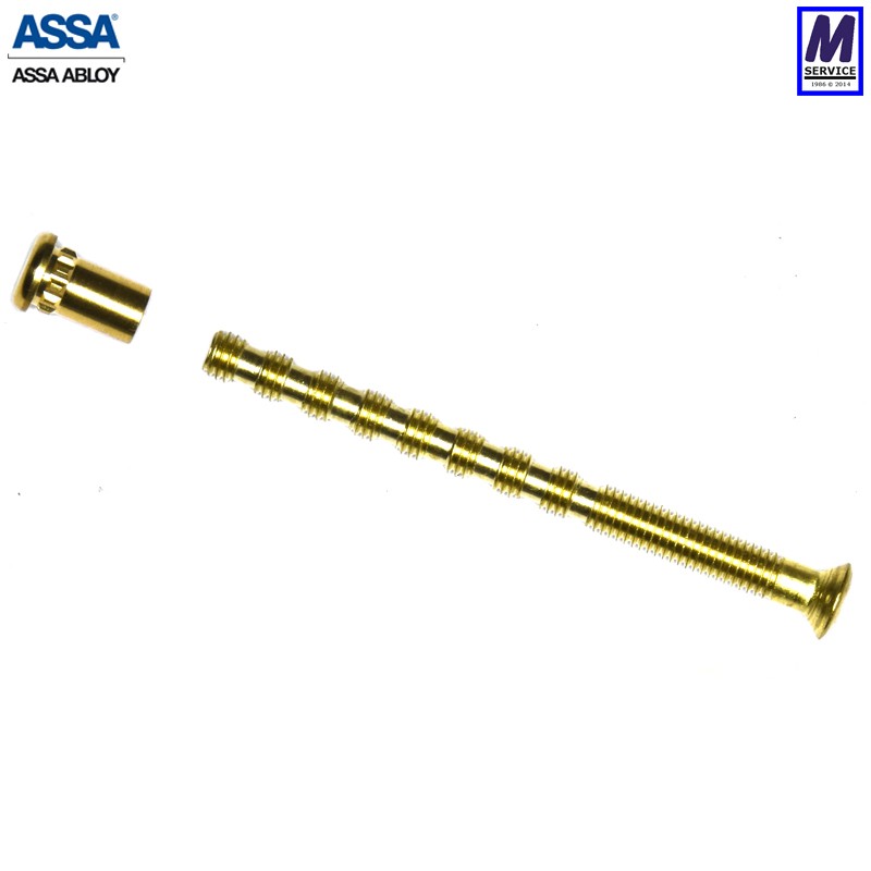 Assa M5 nipple and screw, pb Assa M5 nipple and screw, pb