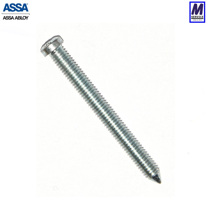 Assa special screw, 48mm